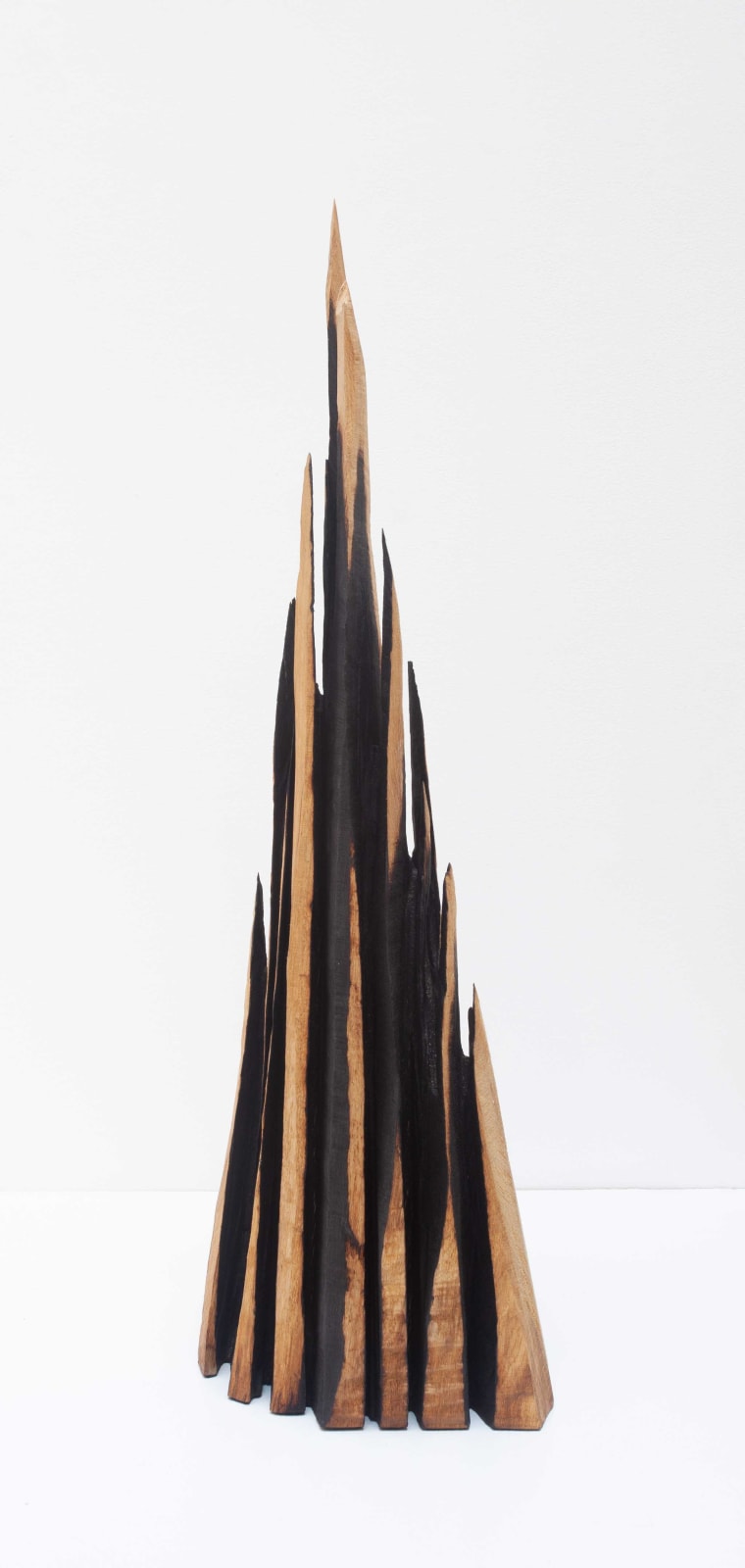 David Nash, Oak Mountains, 2021