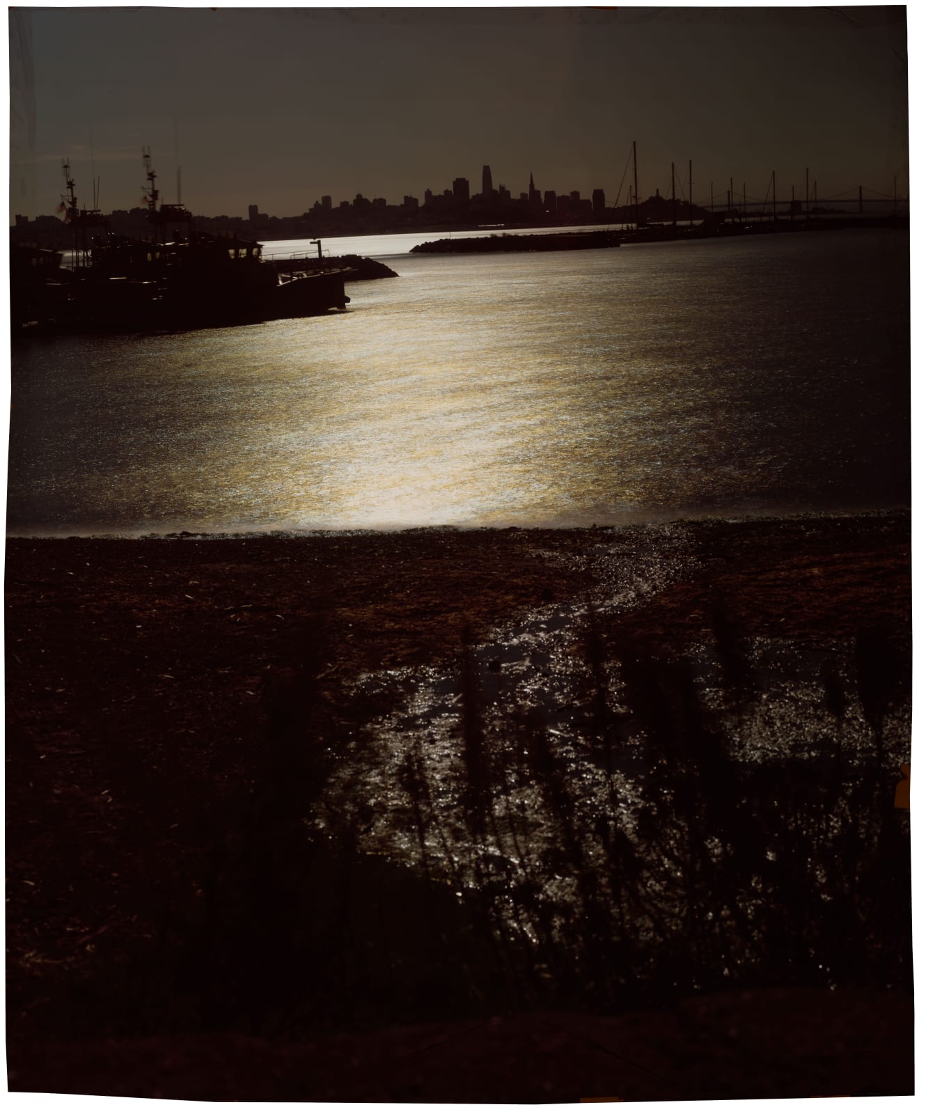 John Chiara, Bay Panel, 2020