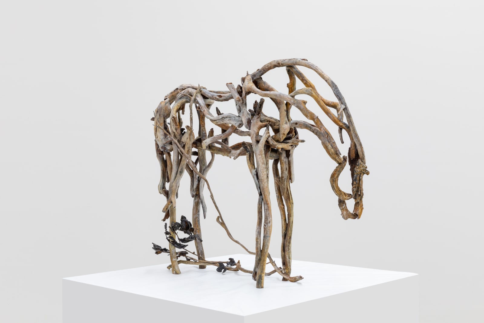 Deborah Butterfield, Mohala, 2023-2024