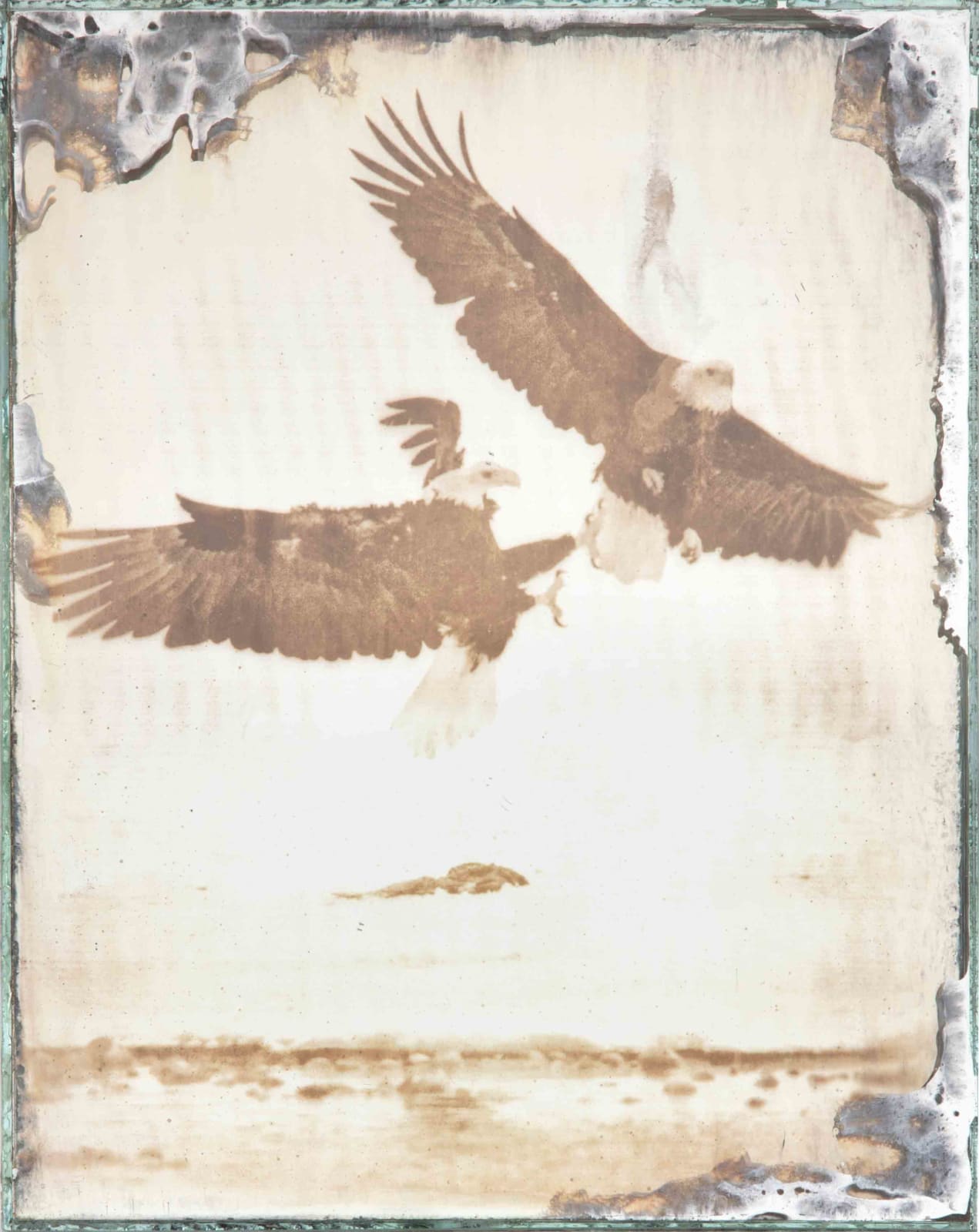 Matthew Brandt, Eagles 1-50, 2017-2019