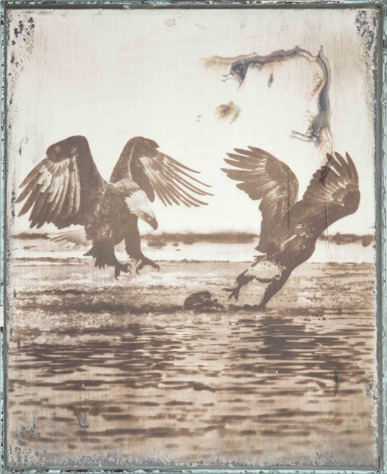 Matthew Brandt, Eagles 1-50, 2017-2019