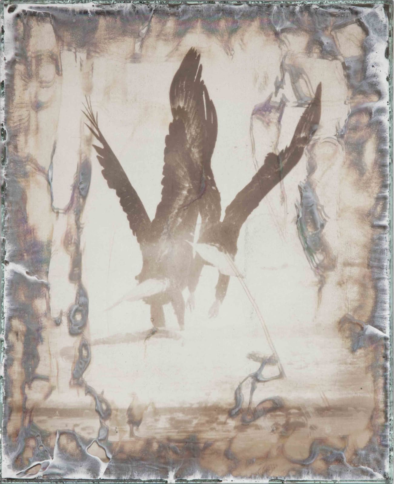 Matthew Brandt, Eagles 1-50, 2017-2019