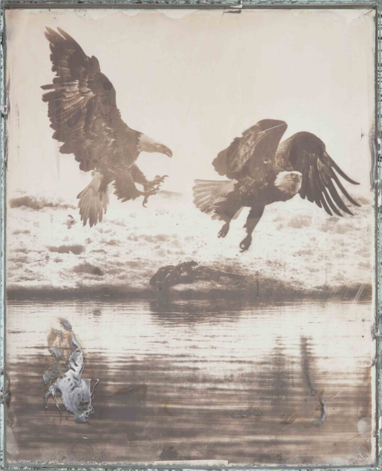 Matthew Brandt, Eagles 1-50, 2017-2019