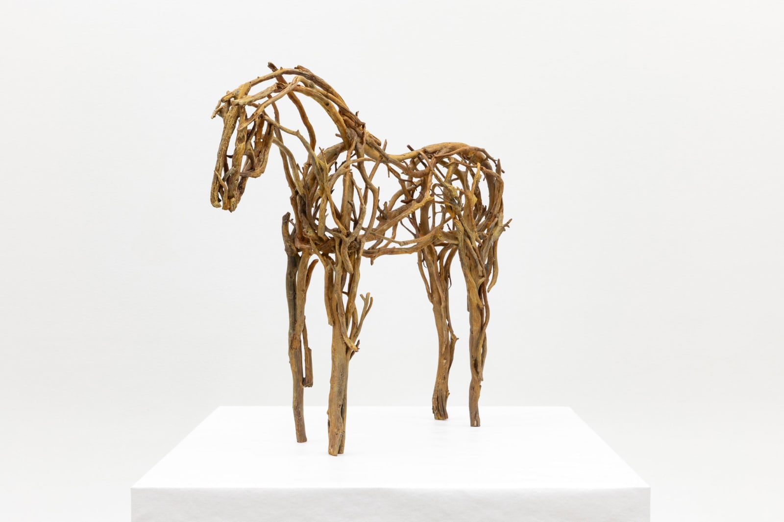 Deborah Butterfield, Kapu Kapu, 2025