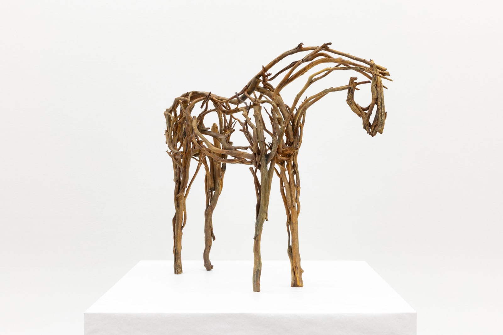 Deborah Butterfield, Kapu Kapu, 2025