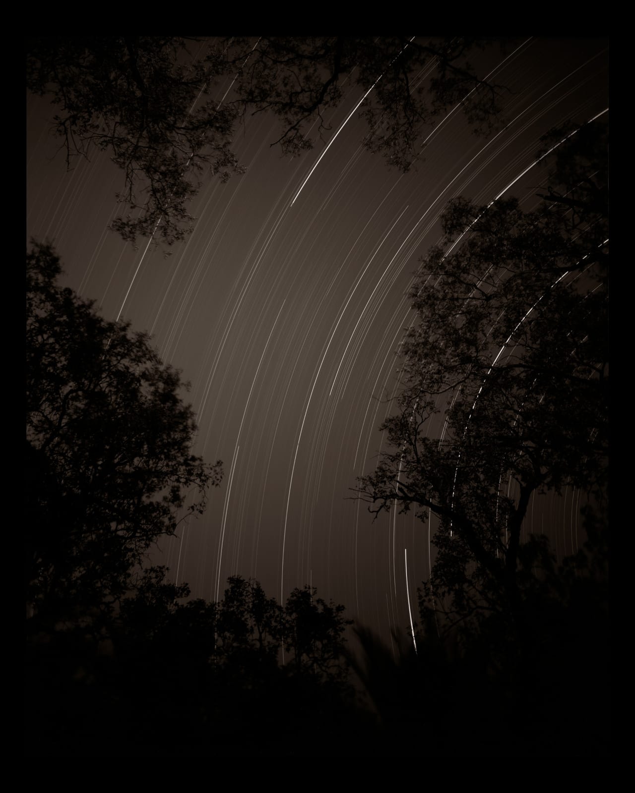 Linda Connor, Southern Sky, Australia, 1997; August 3rd, 1896; November 28, 1894