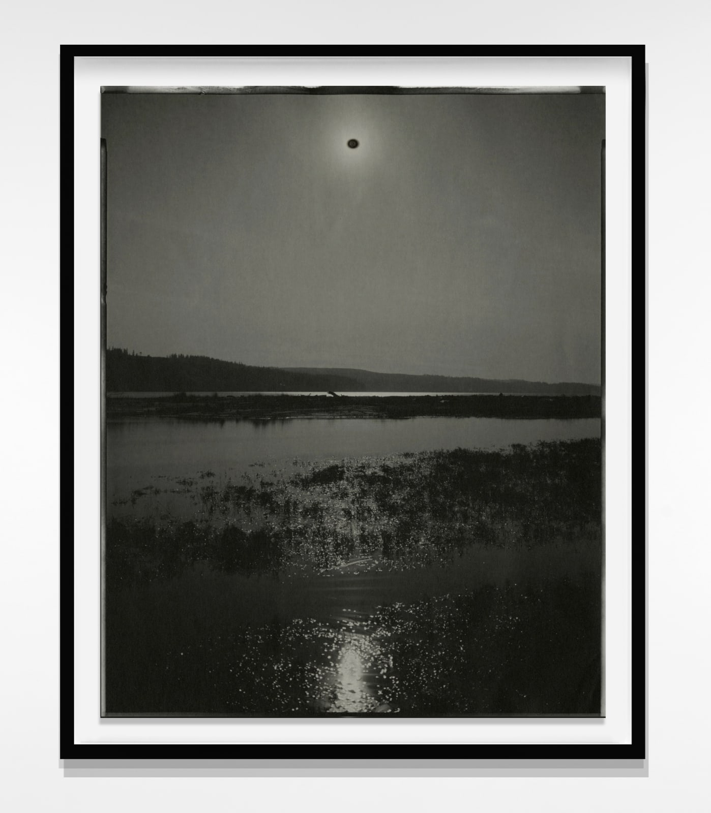 Chris McCaw, Sunburned GSP #466 (Puget Sound, WA), 2011