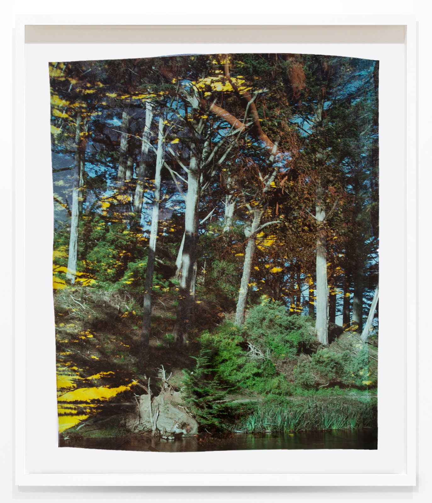 John Chiara, Avenue H: John F. Kennedy: Stowe Lake, 2023