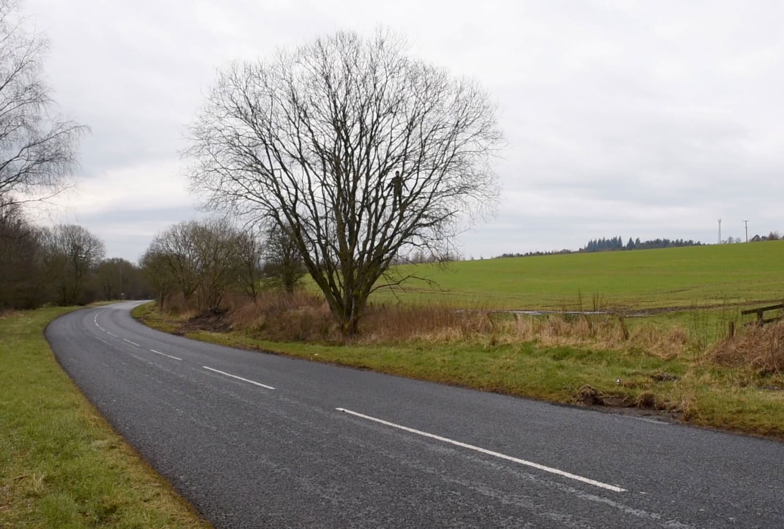 Andy Goldsworthy, Pass. Dumfriesshire, Scotland. February, March 2016, 2016