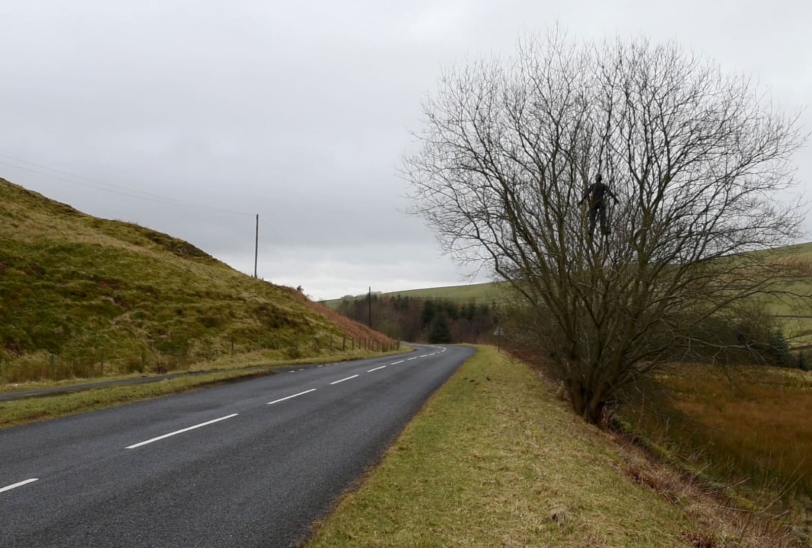 Andy Goldsworthy, Pass. Dumfriesshire, Scotland. February, March 2016, 2016