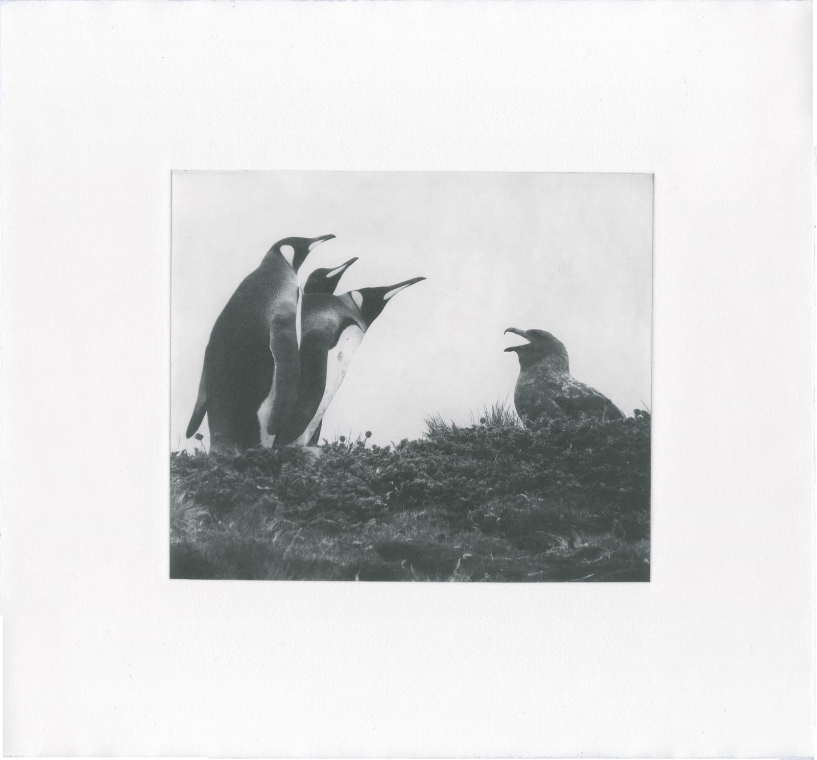 Ursula Pretsch, A Conversation, 2025