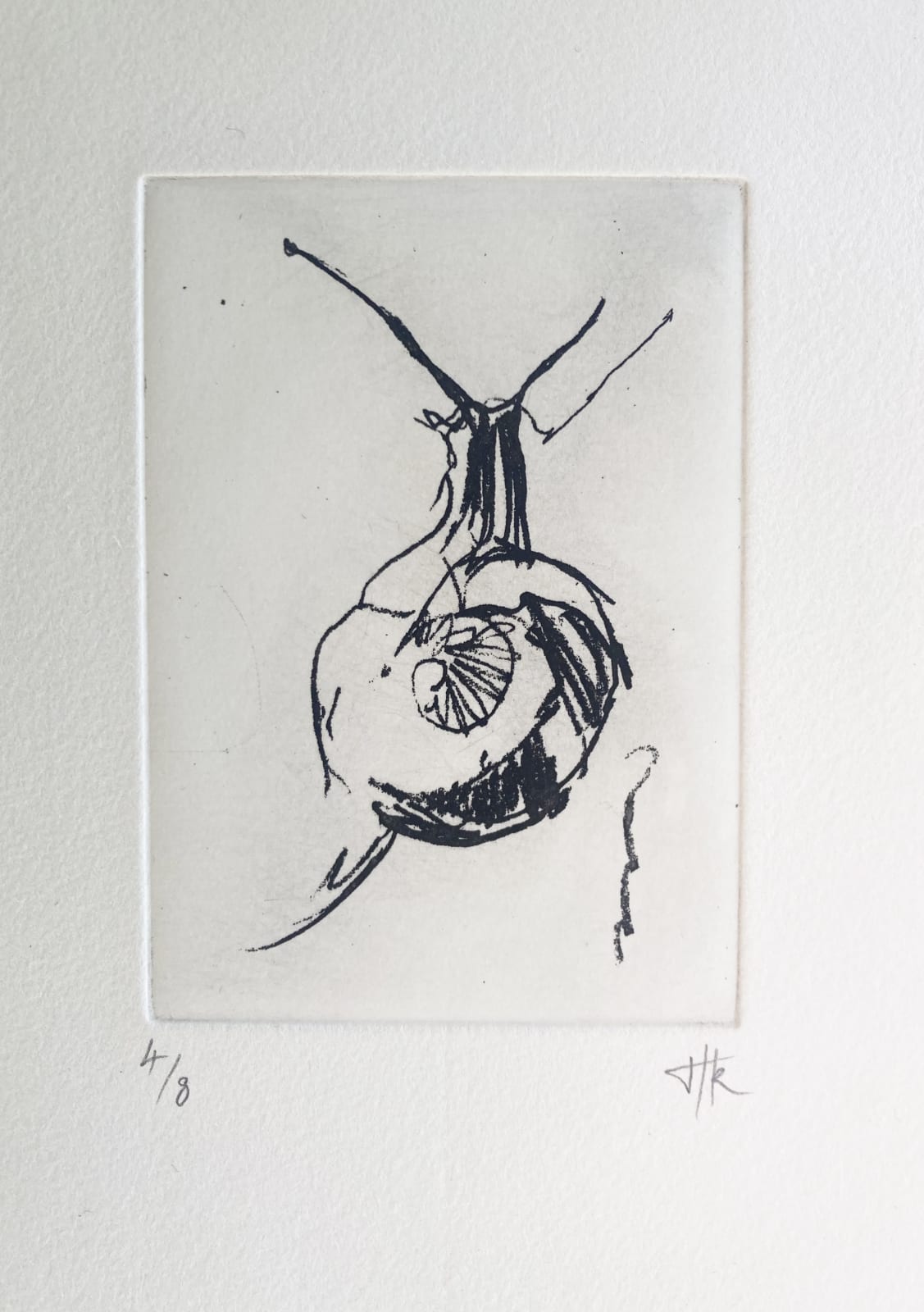 Helen Kennedy , Snail, 2025