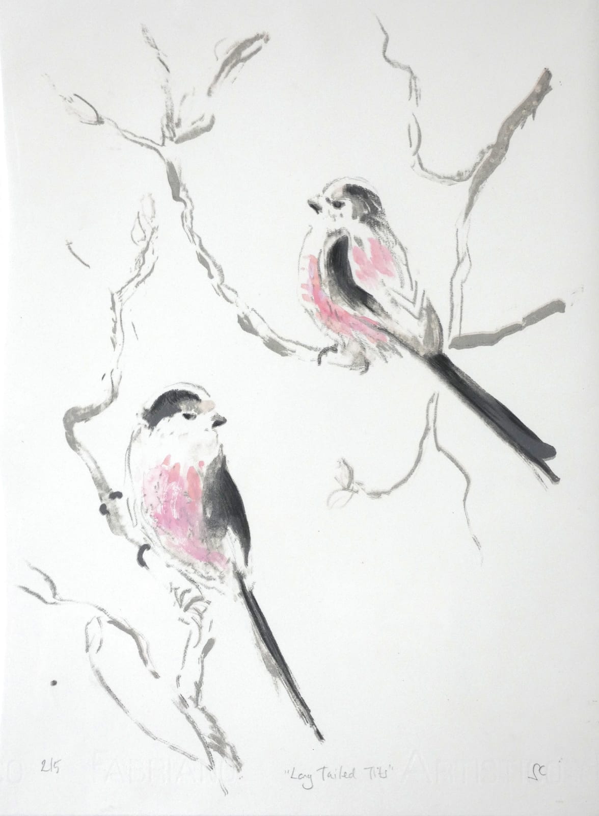 Sheila Chapman, Long Tailed Tits, 2025