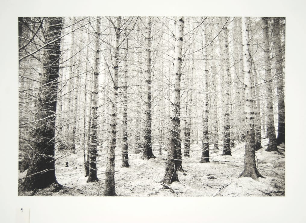 Ravi Agarwal, Nàdar Landscapes Series 5, 2018