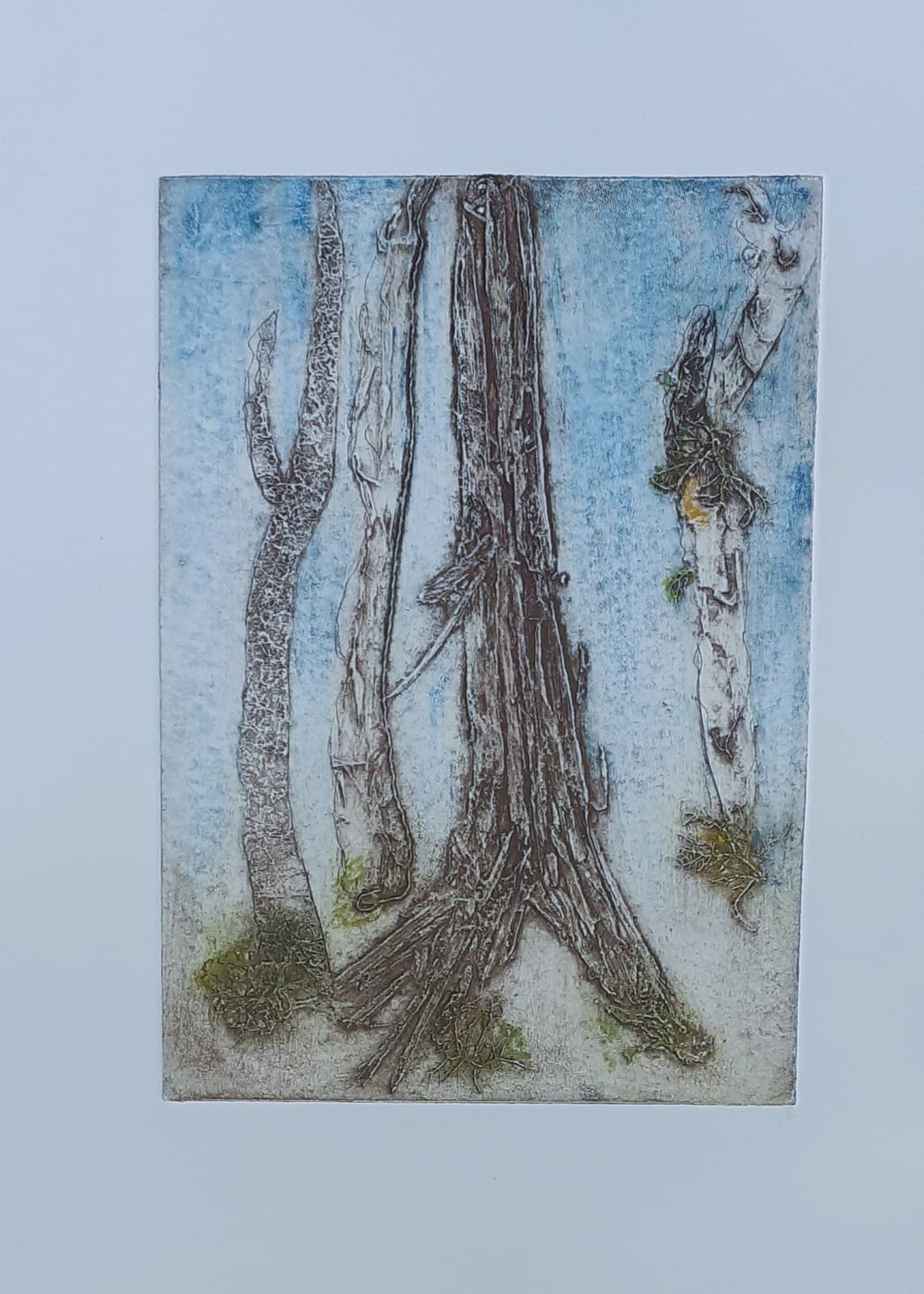 Judith Philipson, The Air We Share - Forests For All, 2025