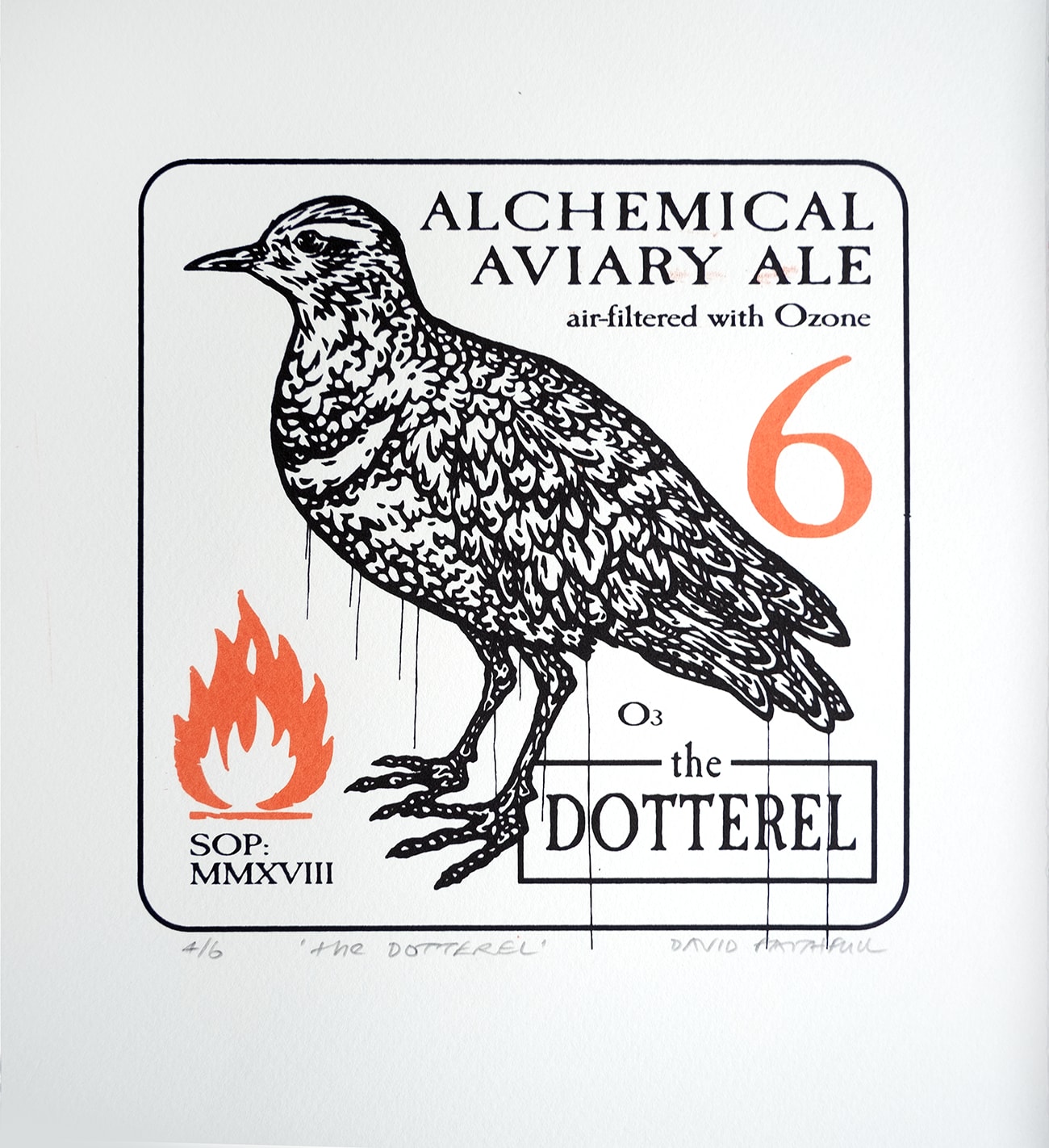 David Faithfull, The Dotterel, 2025