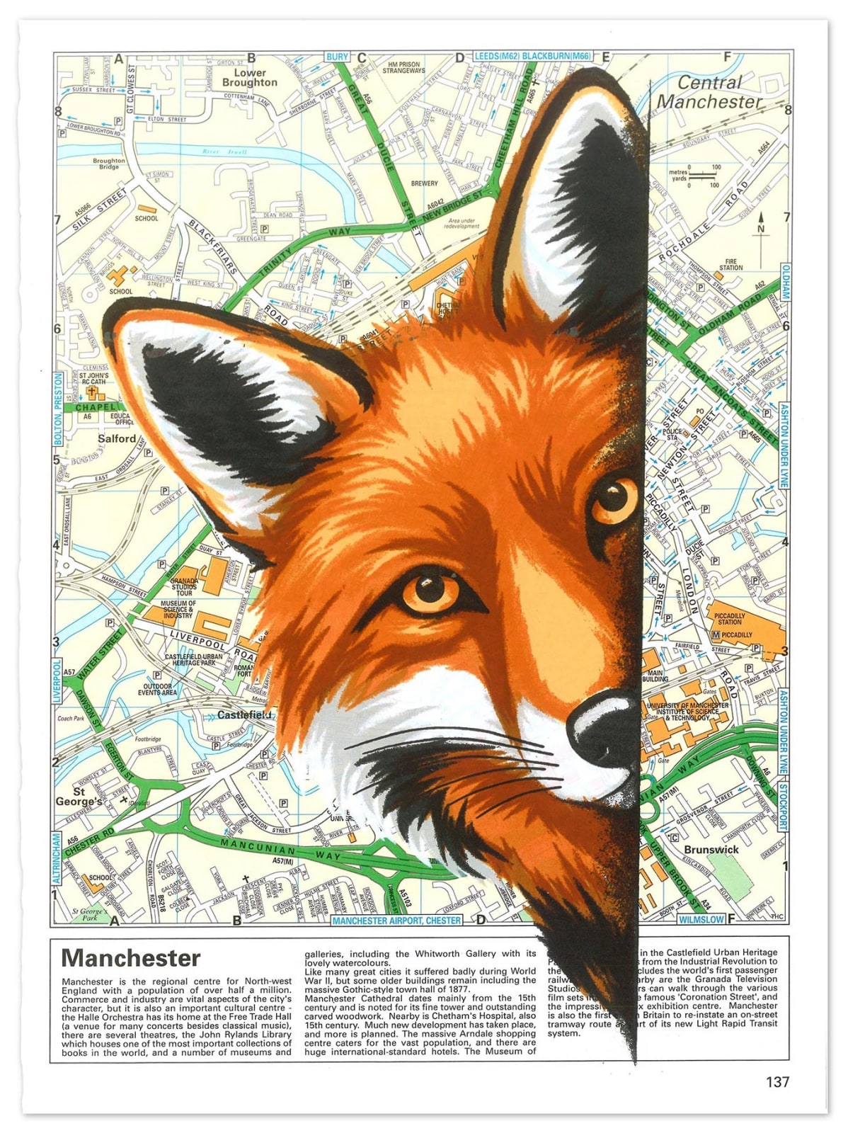 Stephen Parker, CITY FOX, 2025