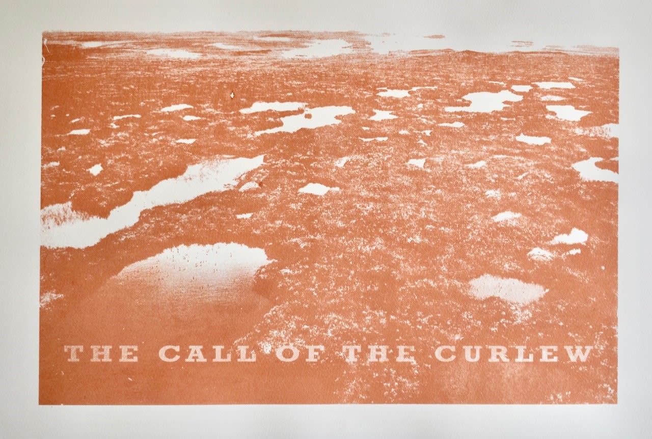 Jean Gillespie, The Call of the Curfew, 2025