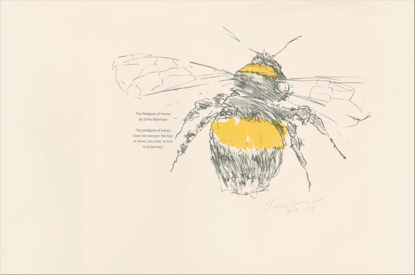 Joyce Gunn Cairns, The Pedigree of Honey, 2020