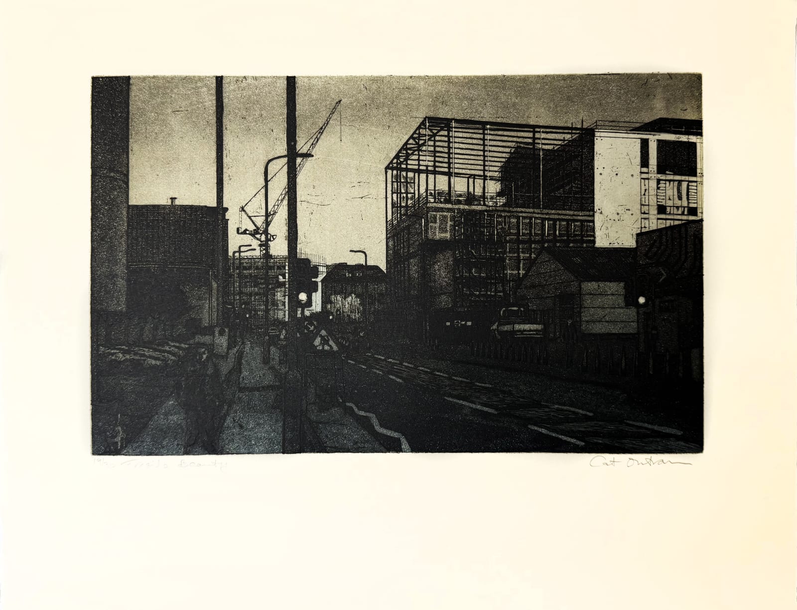 Cat Outram, Fragile Beauty, 2017