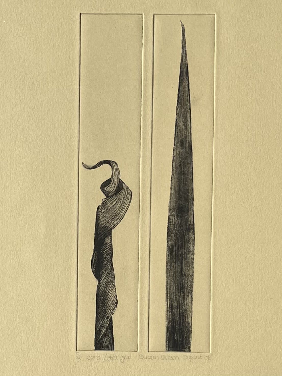 Susan Wilson, Spiral/Straight , 2024