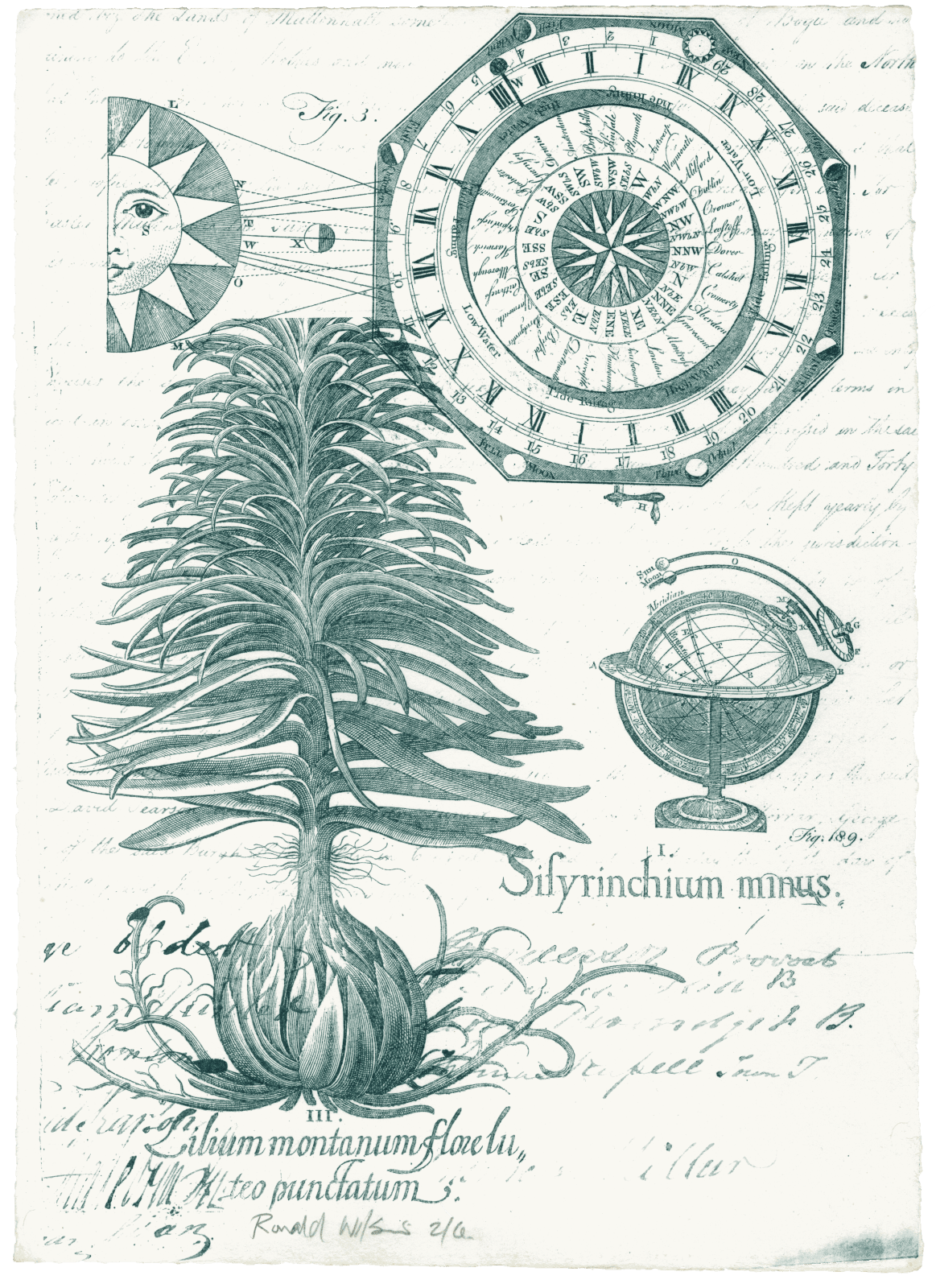 Ronald Wilson, Sun & Compass, 2023
