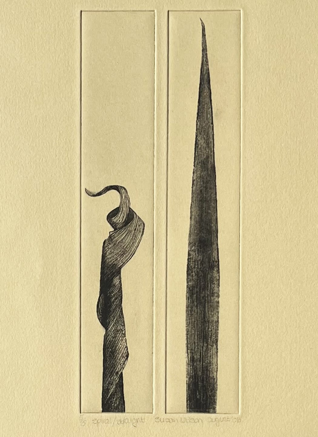 Susan Wilson, Spiral/Straight , 2024