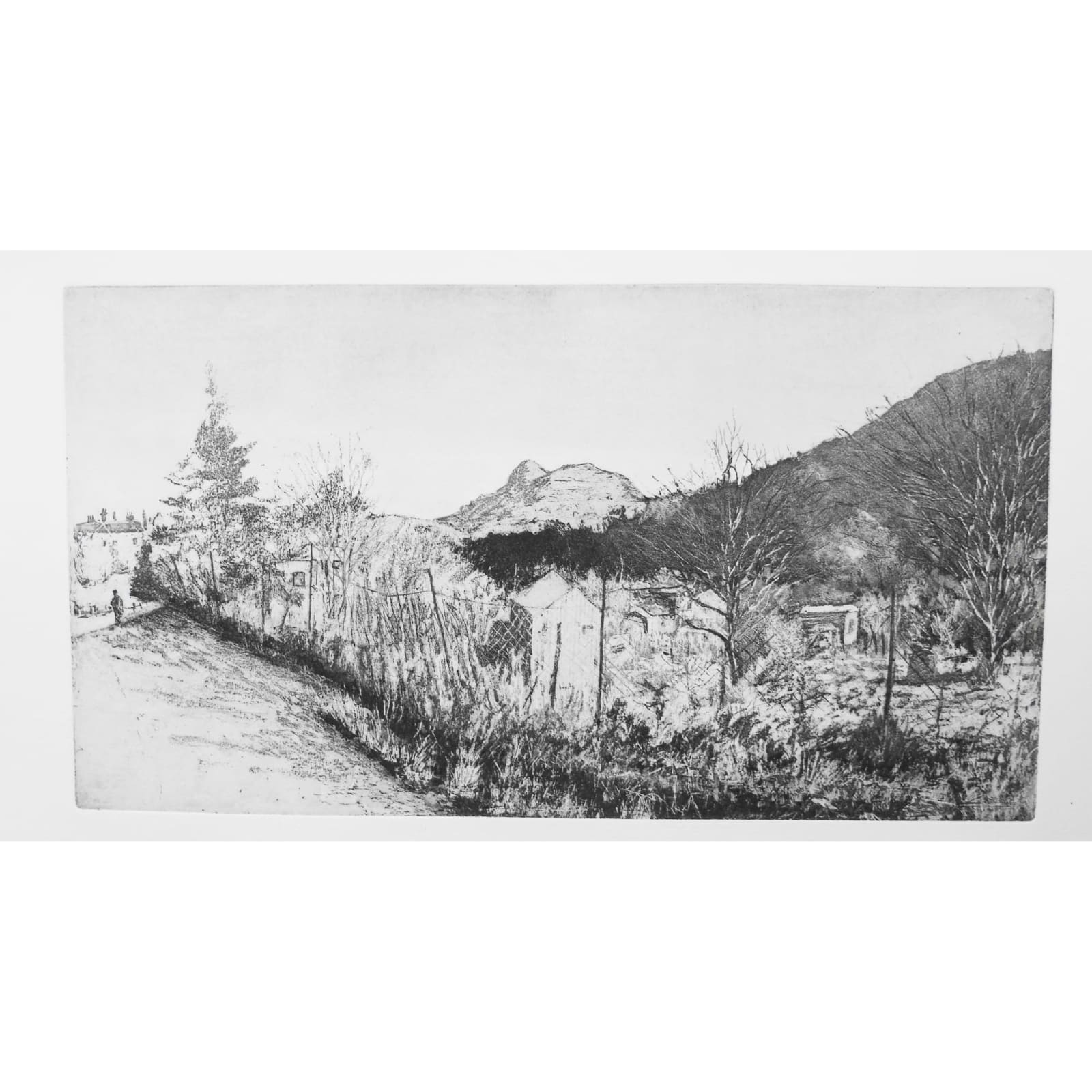 John Heywood, To Plant a Garden is to Believe in..., 2024
