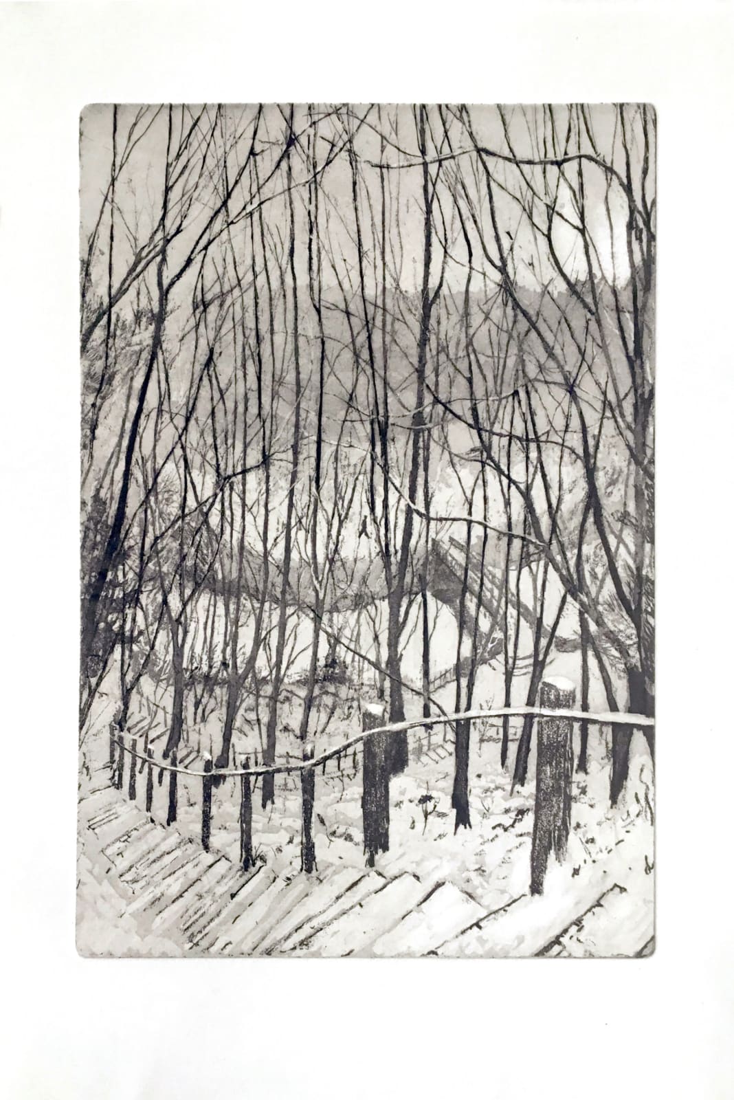 John Heywood, Winter Walk, Water of Leith, 2021