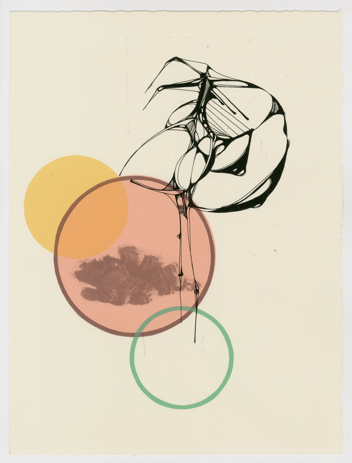 Fiona Hunter, Self-seeded, 2025