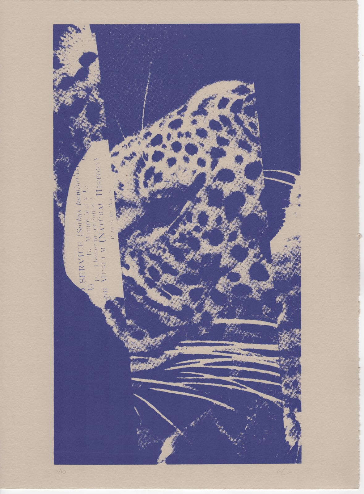 Jenny Muir, Natural History I, 2025