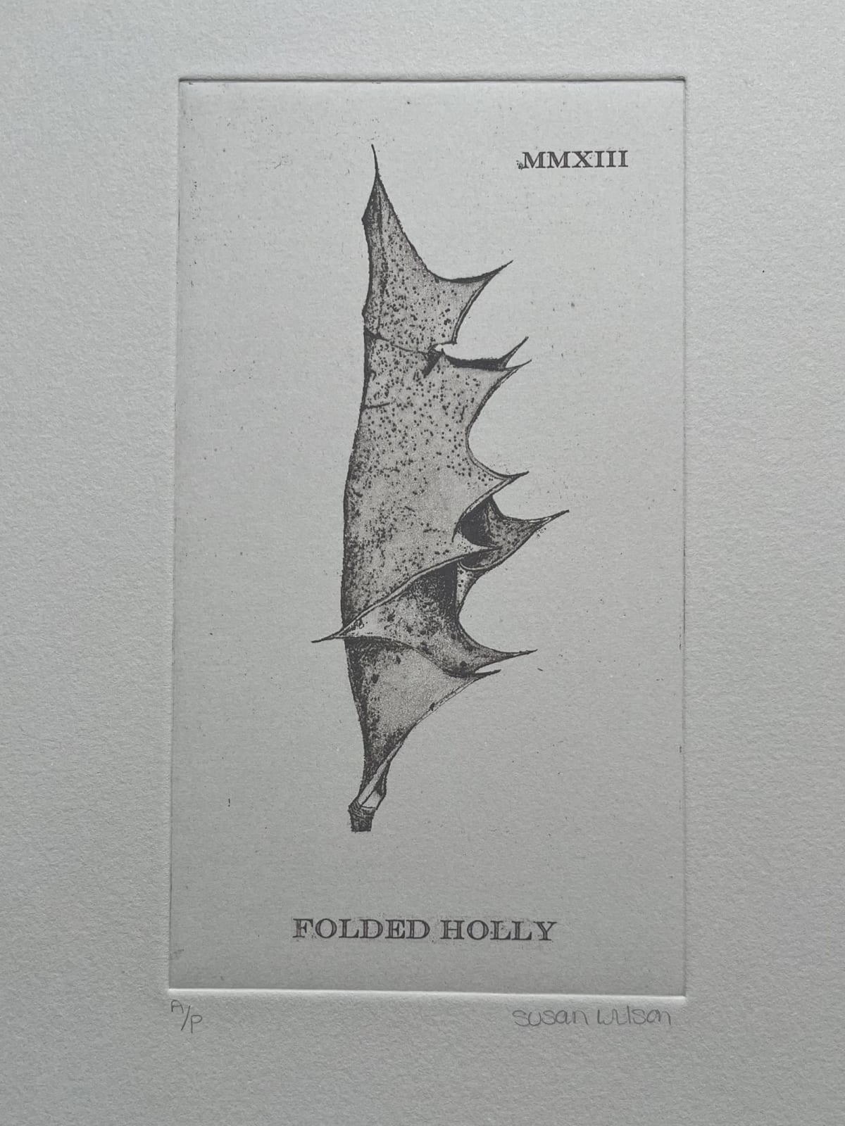 Susan Wilson, Folded Holly, 2025