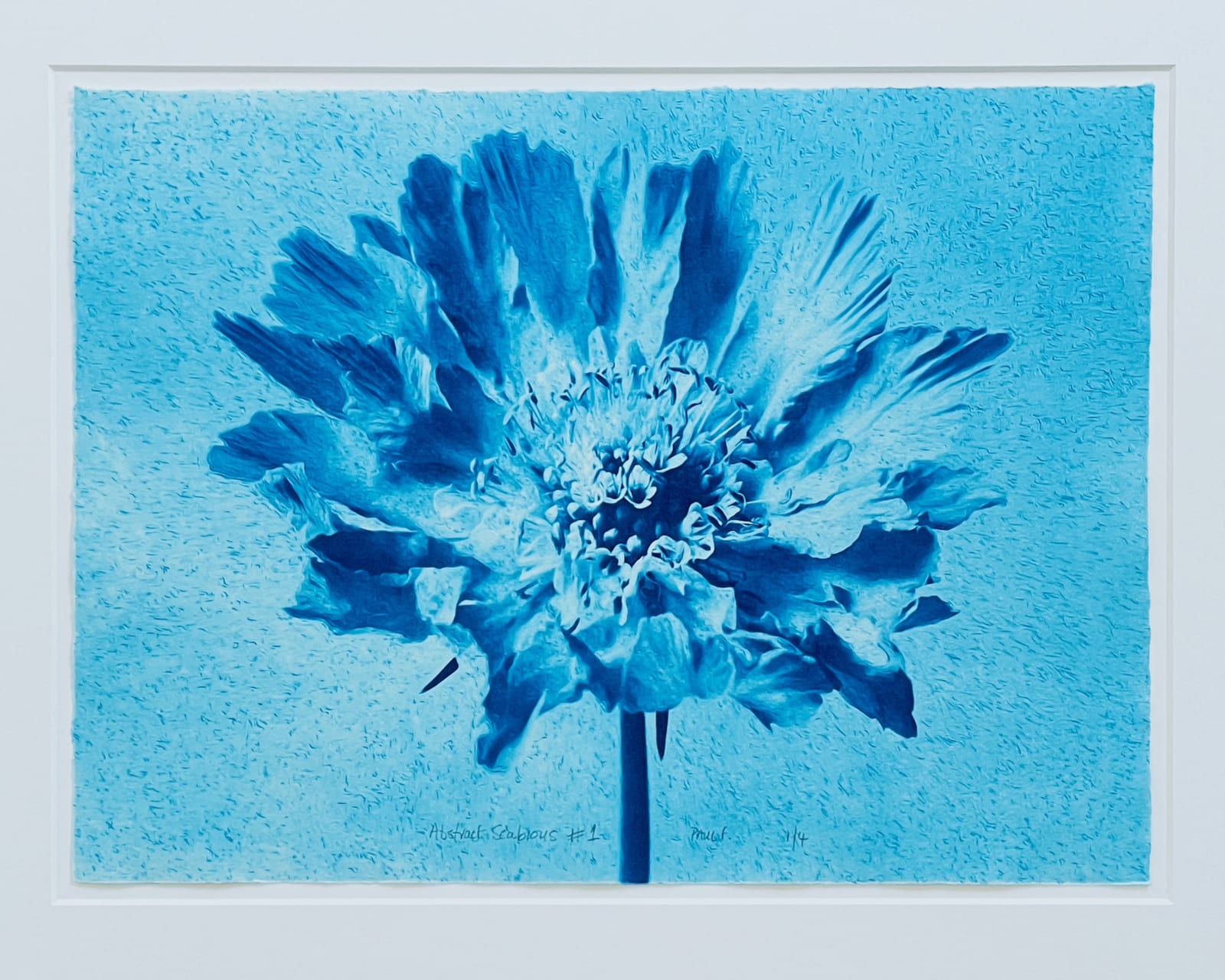 Paul Fieldsend, Abstract Scabious # 1, 2025