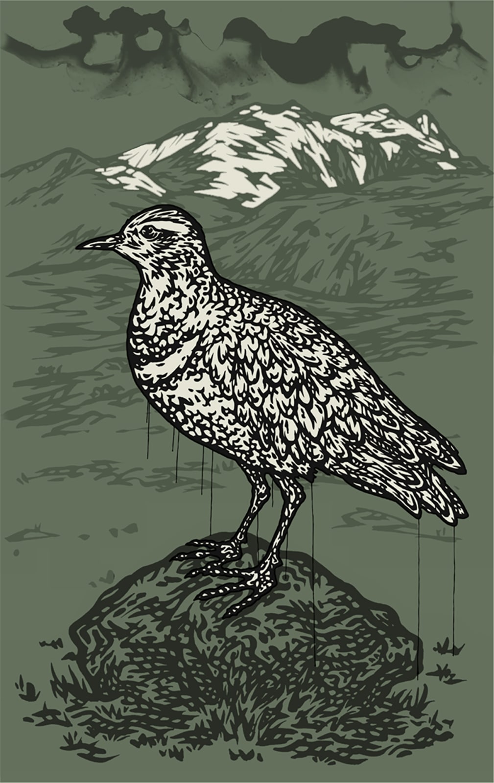 David Faithfull, Dotterel, 2025