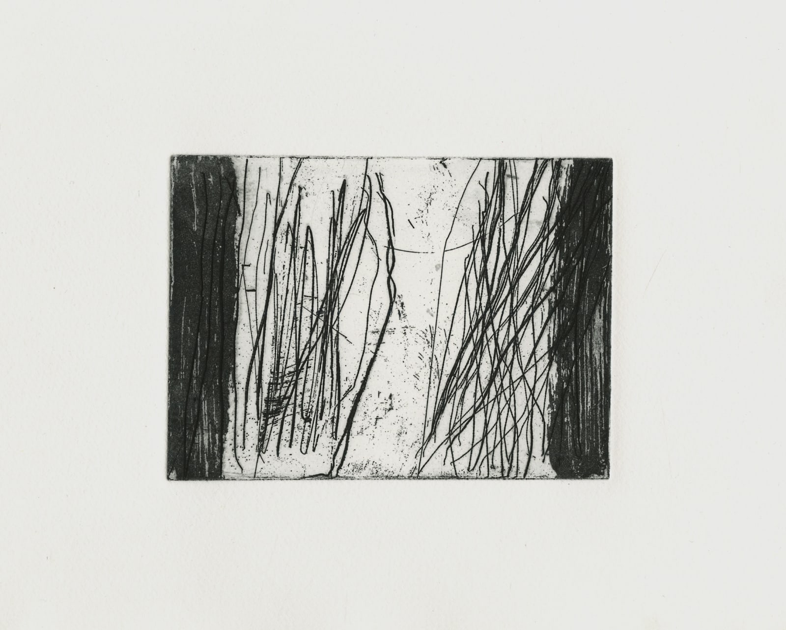 Joy Arden, Passage, 2019