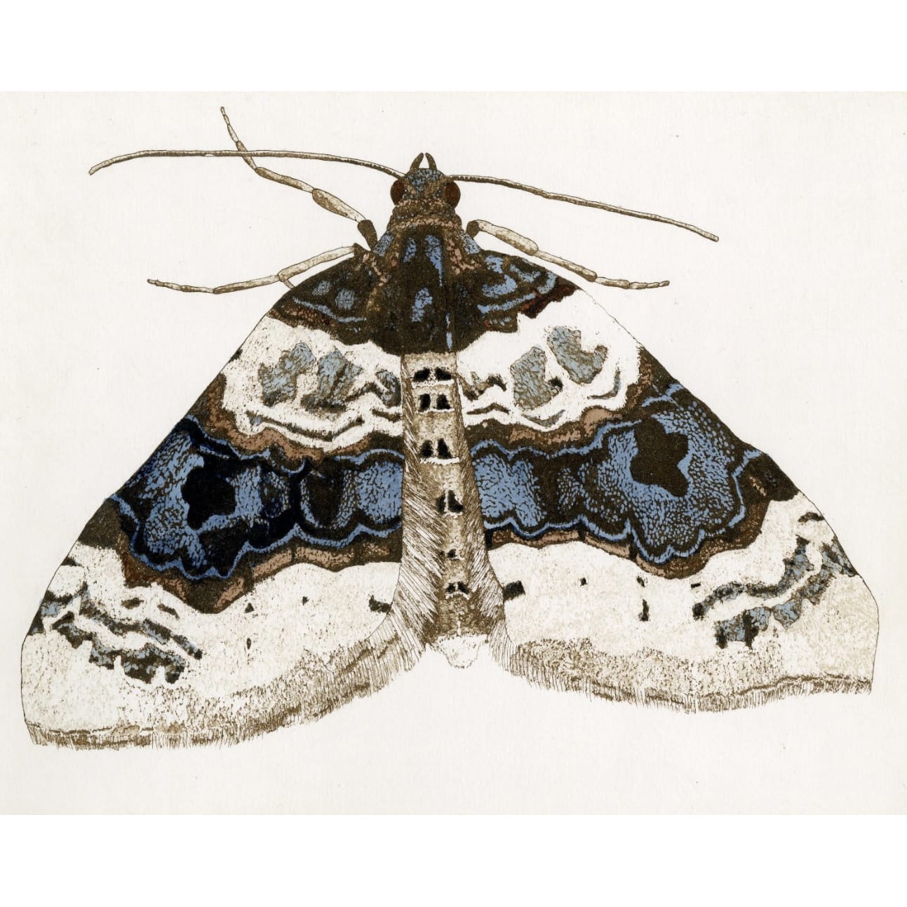 Douglas Reed, Purple Bar, 2024