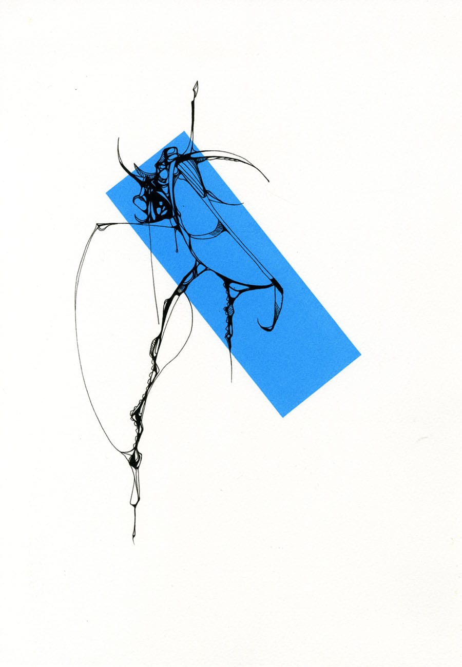 Fiona Hunter, Discovering Beetles, 2025