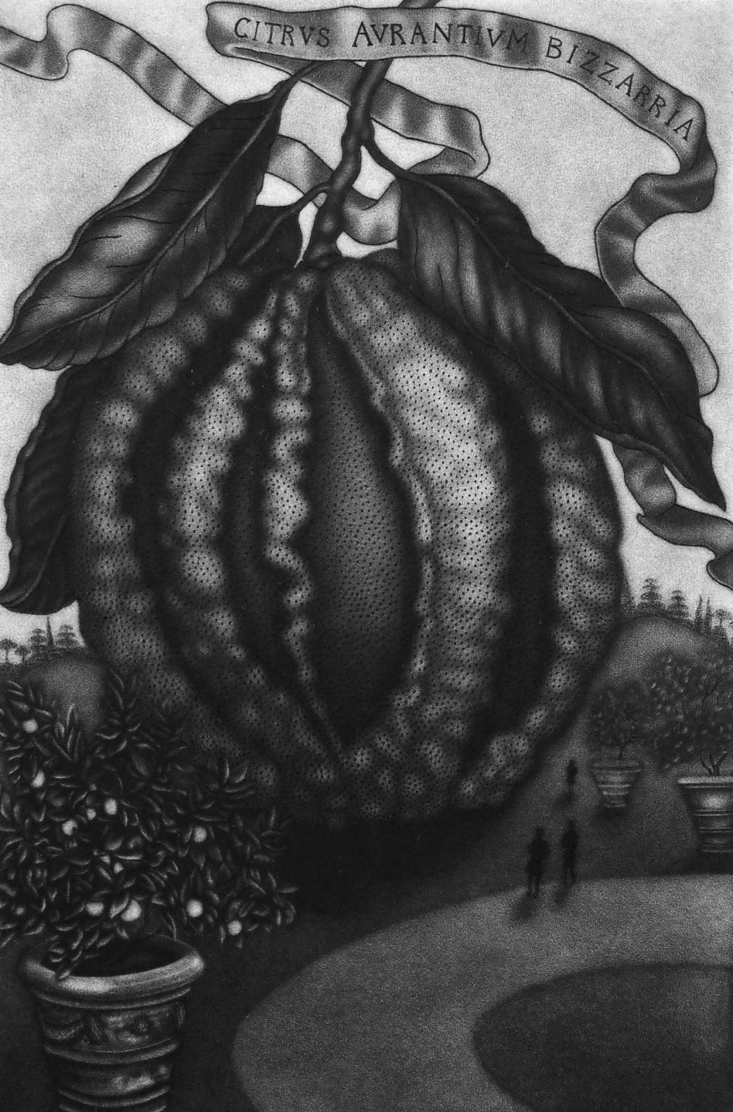 Jodi Le Bigre, Citrus Aurantium Bizzaria, 2017