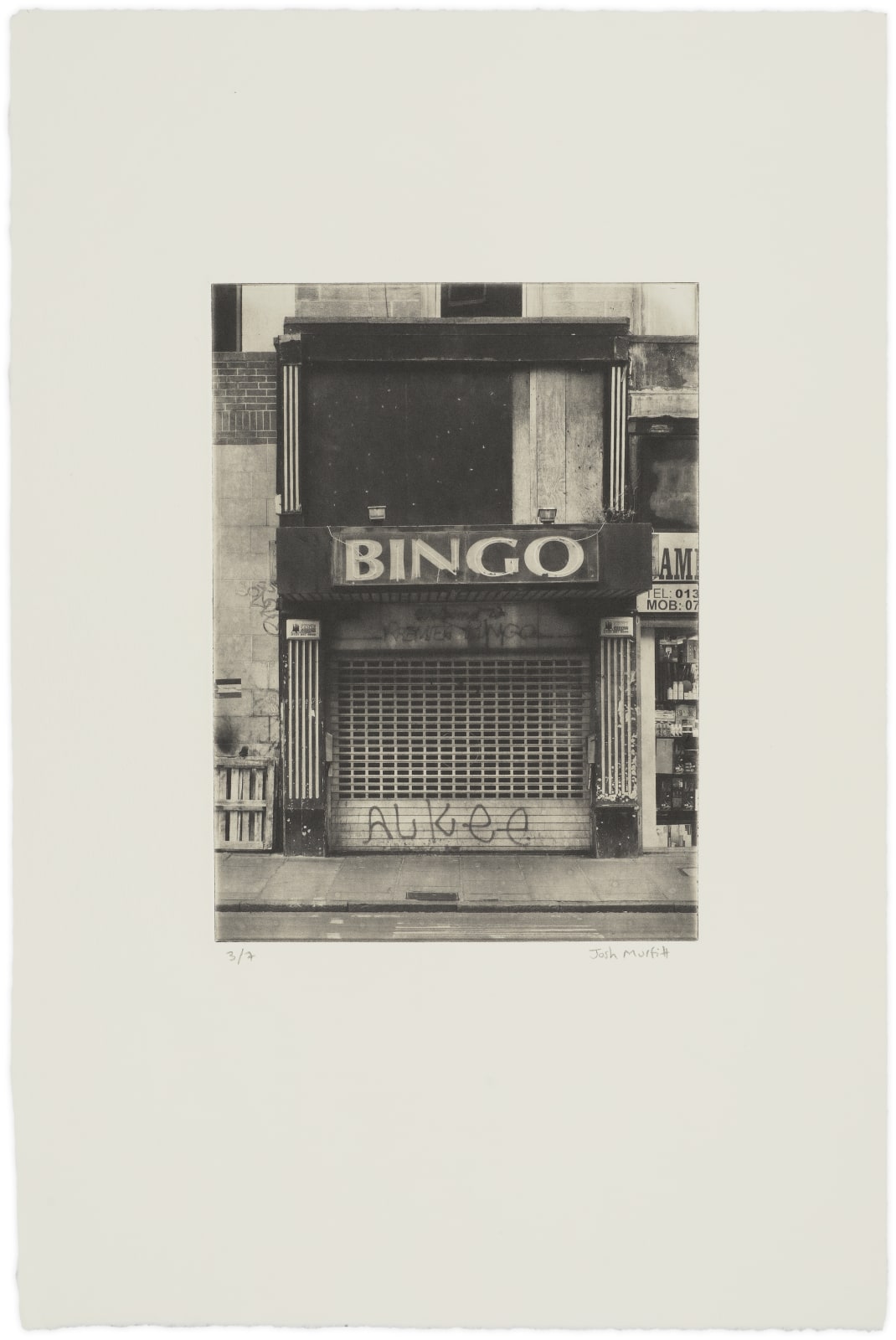 Josh Murfitt, Bingo (Portal), 2024