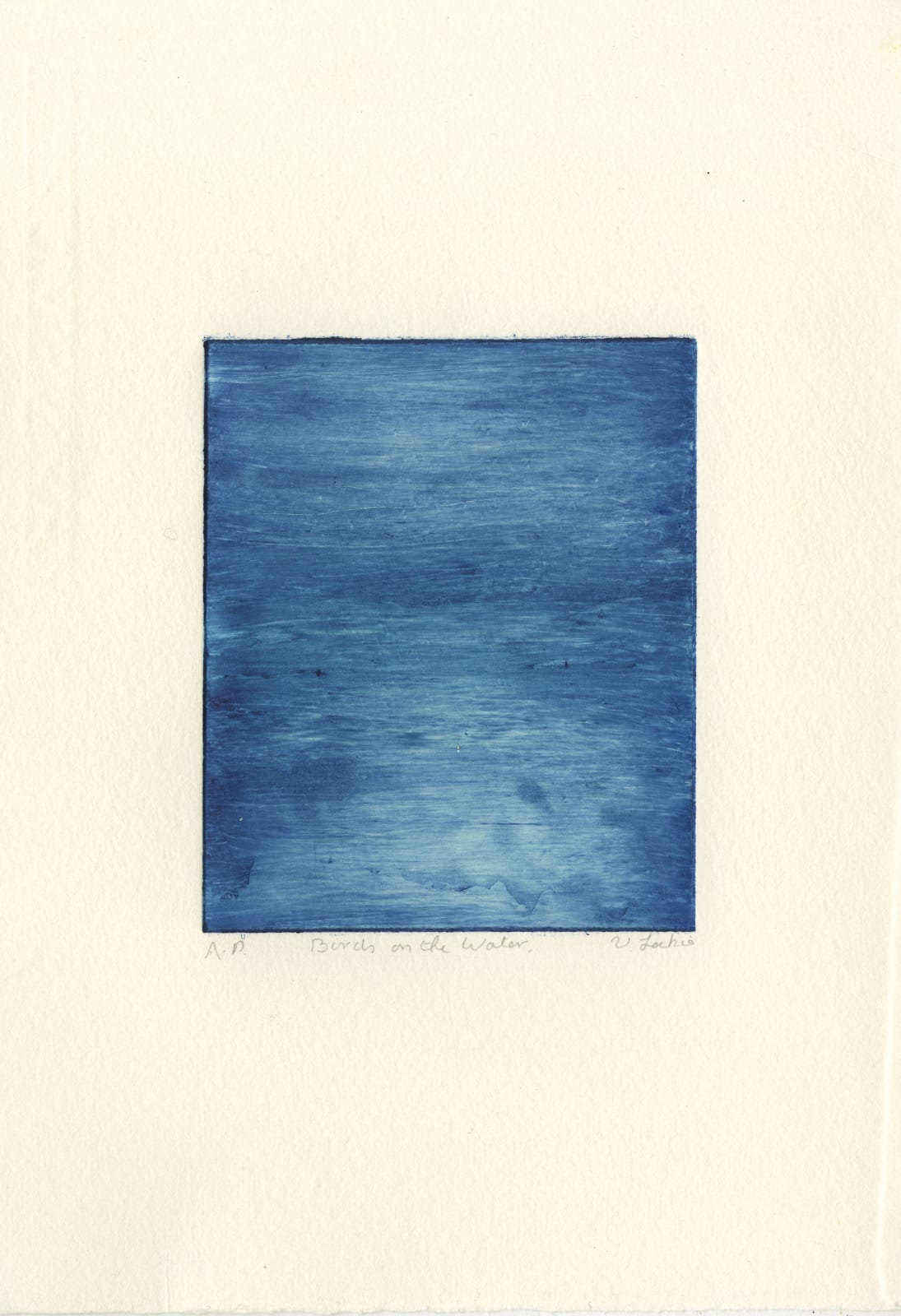 Val Leckie, Birds on the Water, 2025