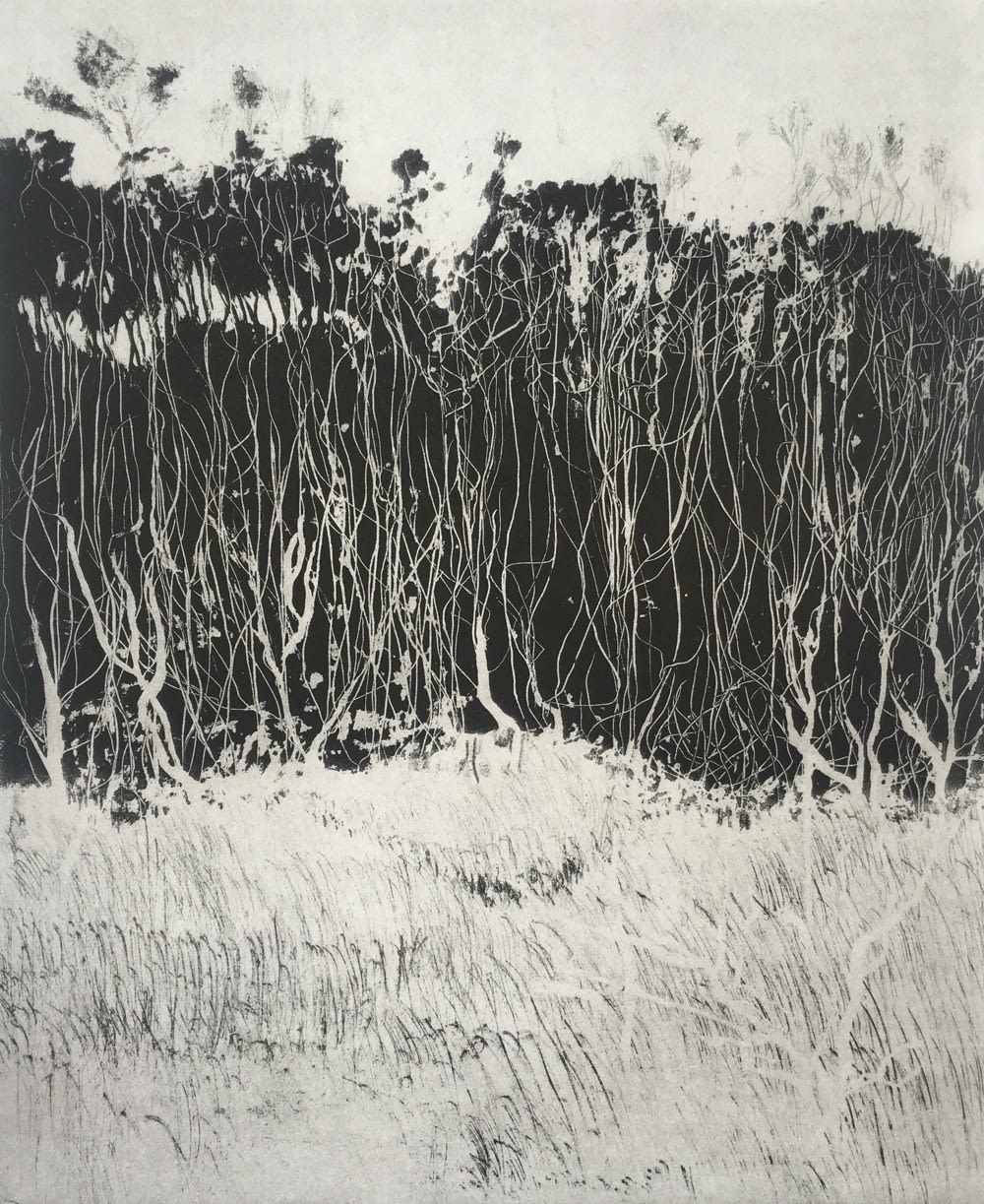 Silke Heuer, Forest, 2022