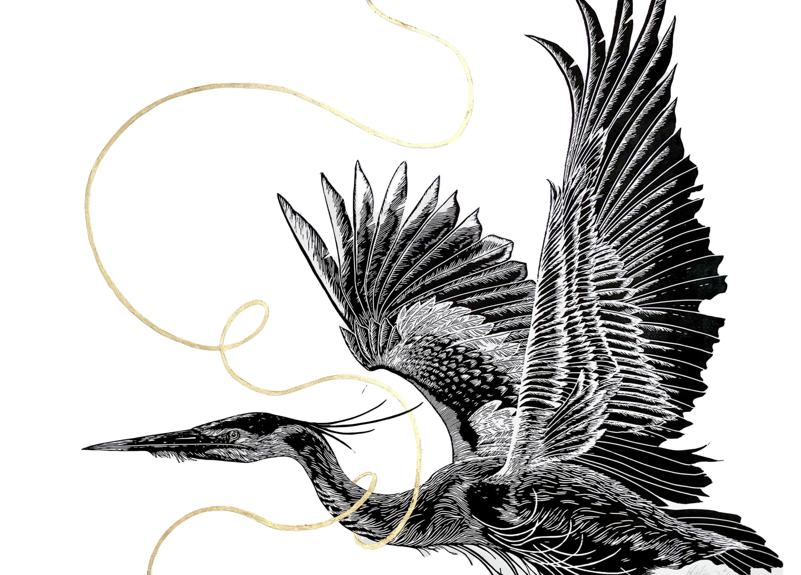 Polly Rose Morris, Take Off, 2025