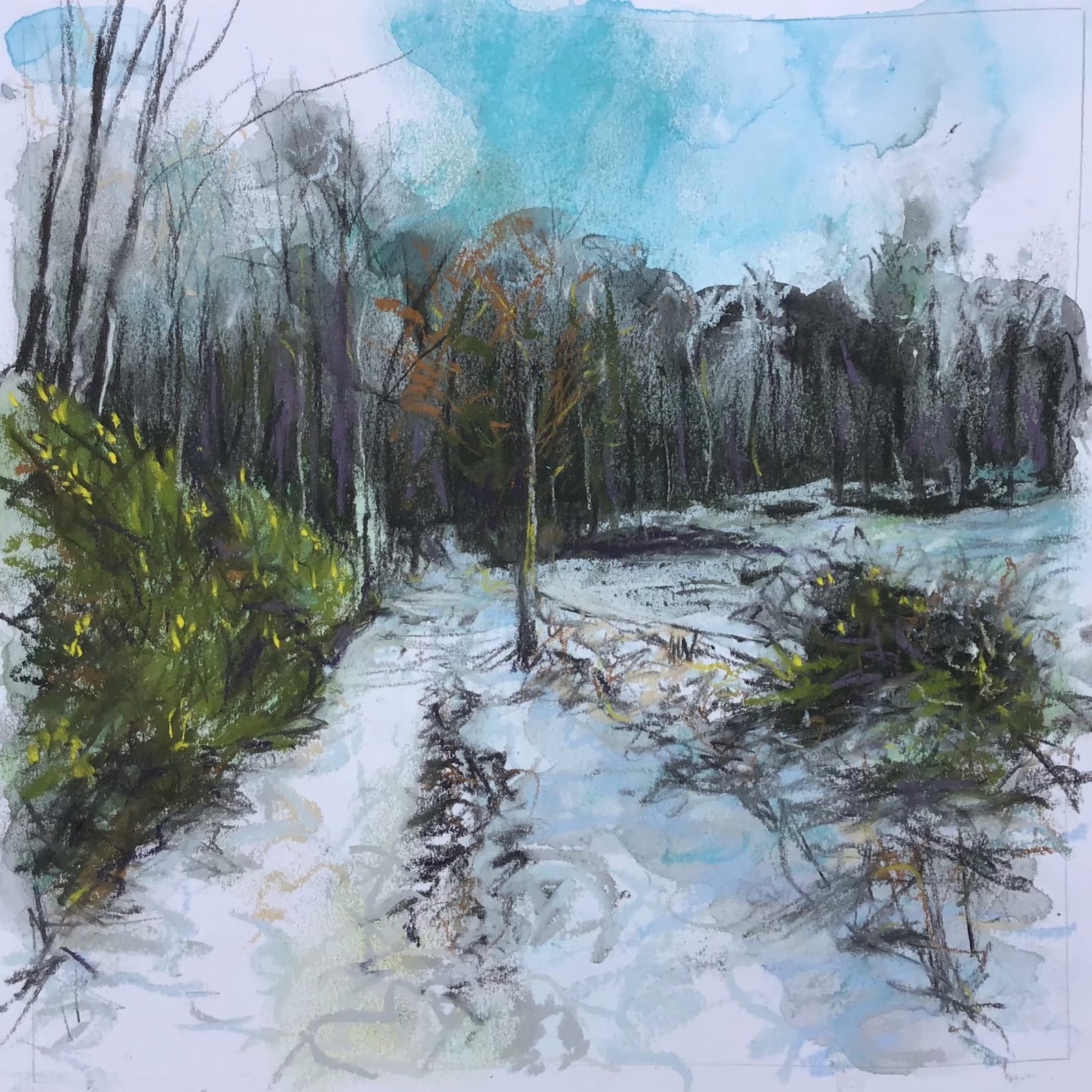 Hayley Mills, Winter Whin