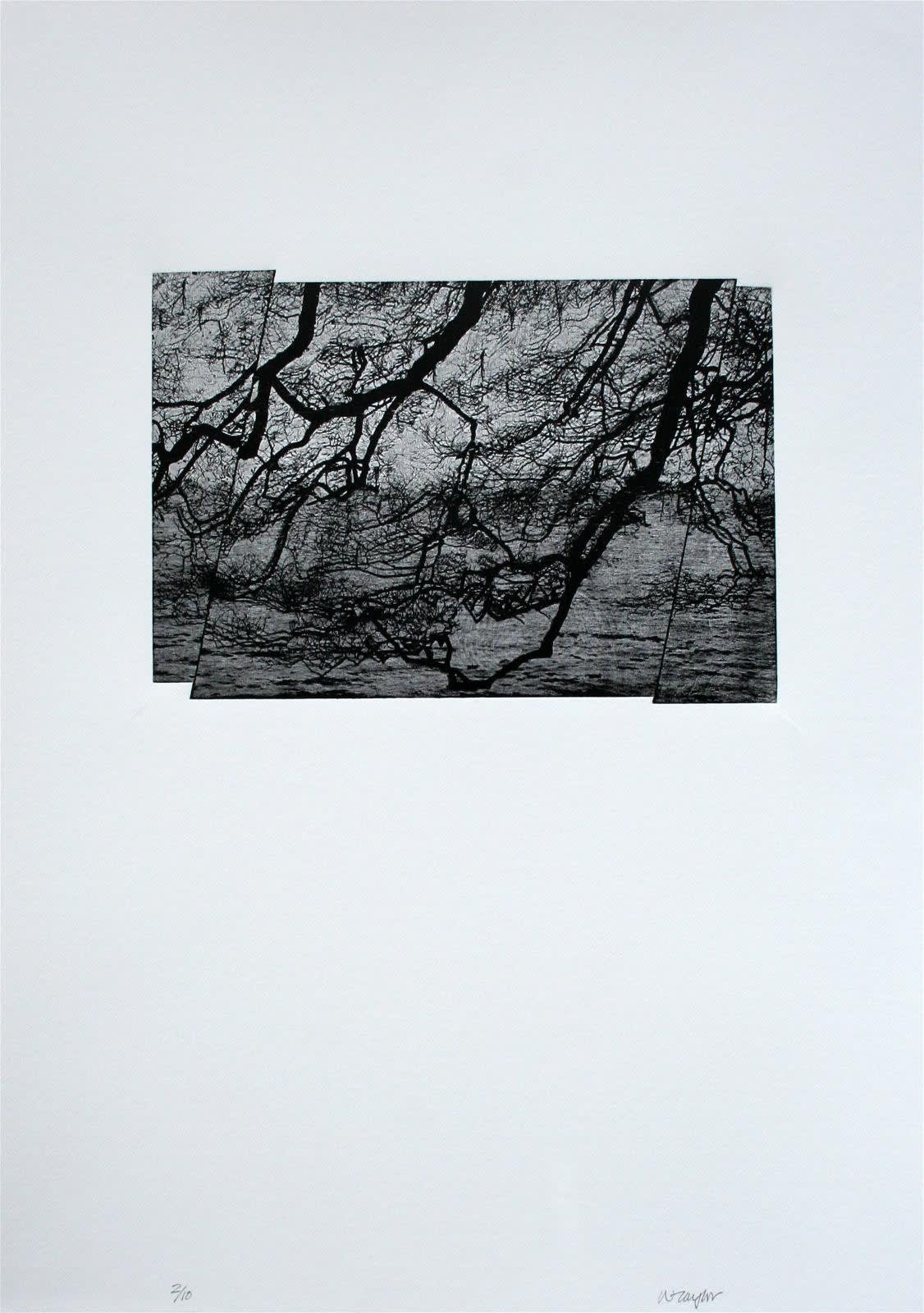Bill Taylor, Walking the Coast: South, 2019