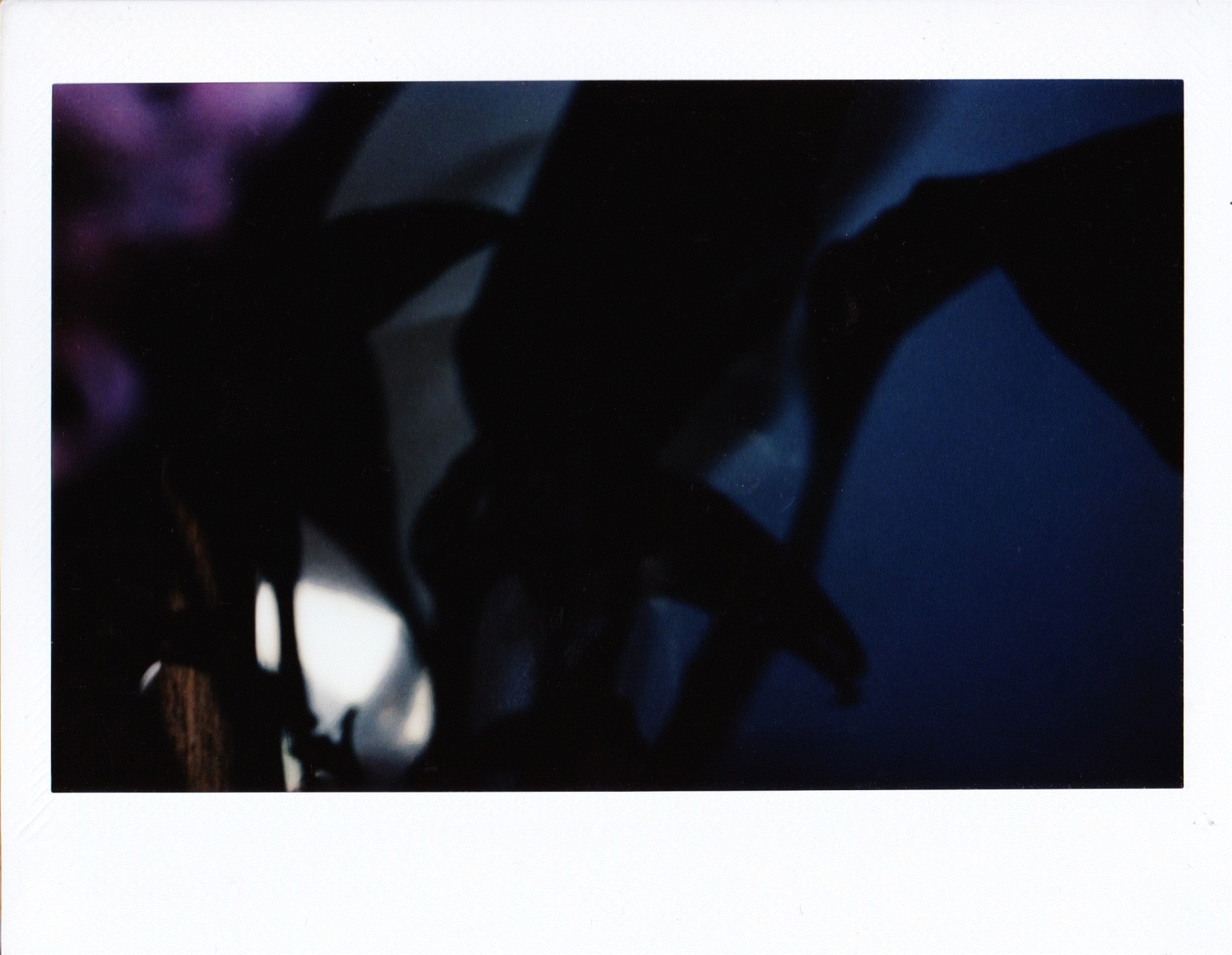 Katheryne M Morrison, Before The Alarm, 2018