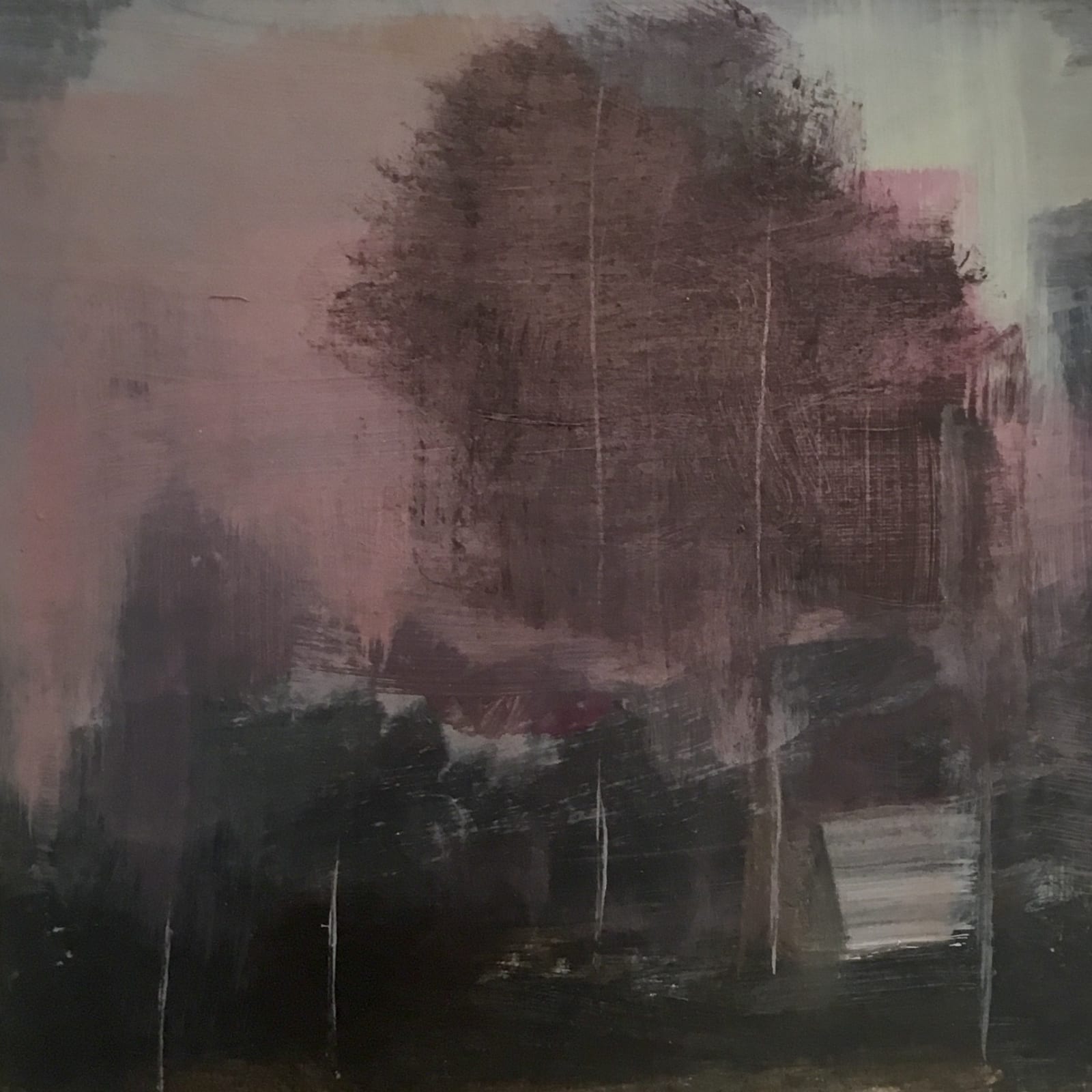 Jayne McIntyre, A pink leaden sky