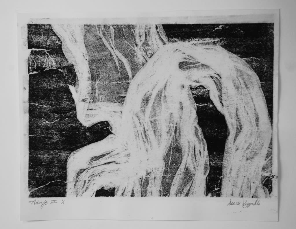 Denise Zygadlo, Adrift III, 2020