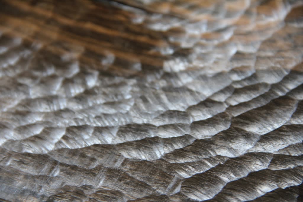 Teresa Hunyadi, Swell, 2018