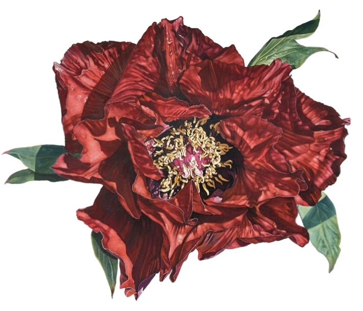 Nicola Lynch Morrin, ‘The Wonders We Carry Within…’