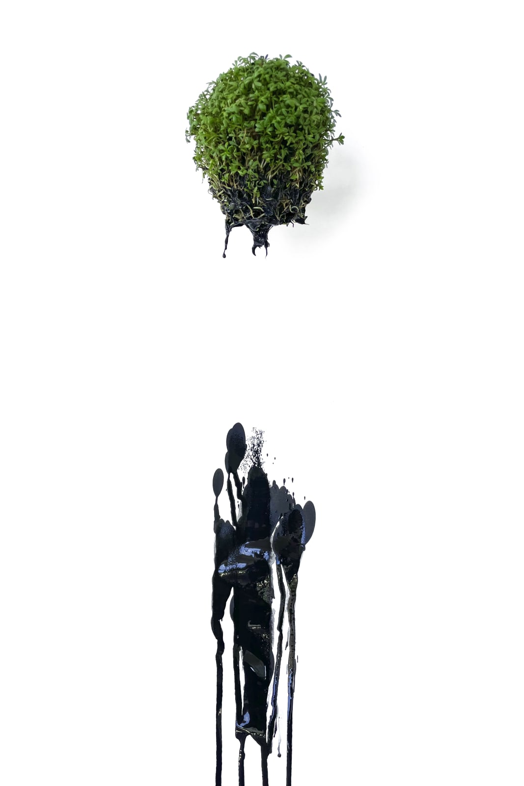 Marco Di Sante, Living Ball + Ink